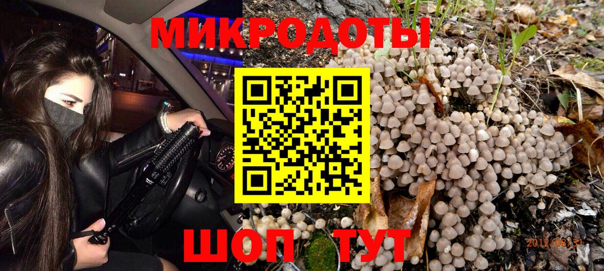 Псилоцибиновые грибы Psilocybine cubensis Наро-Фоминск